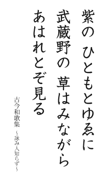 紫のひともとゆゑに武蔵野の草はみながらあはれとぞ見る